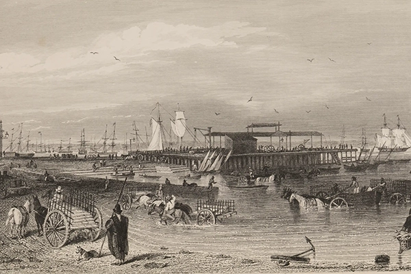 Voyage of the Beagle