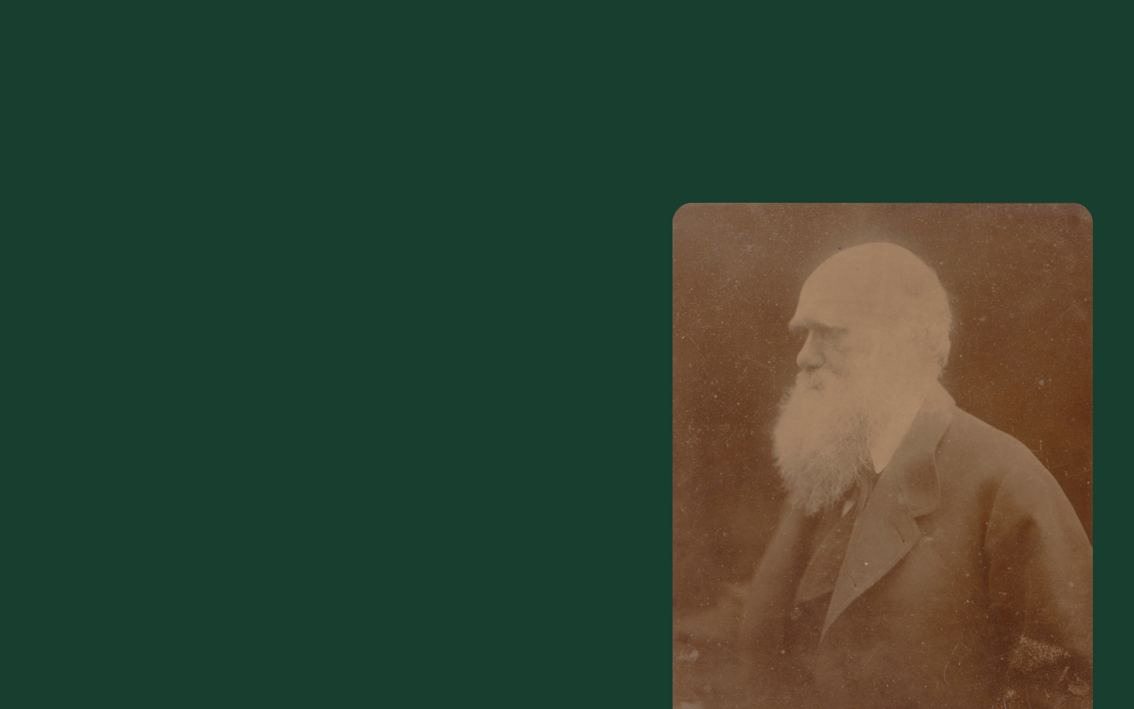 All Netted Together - Darwin & Wallace Exhibition