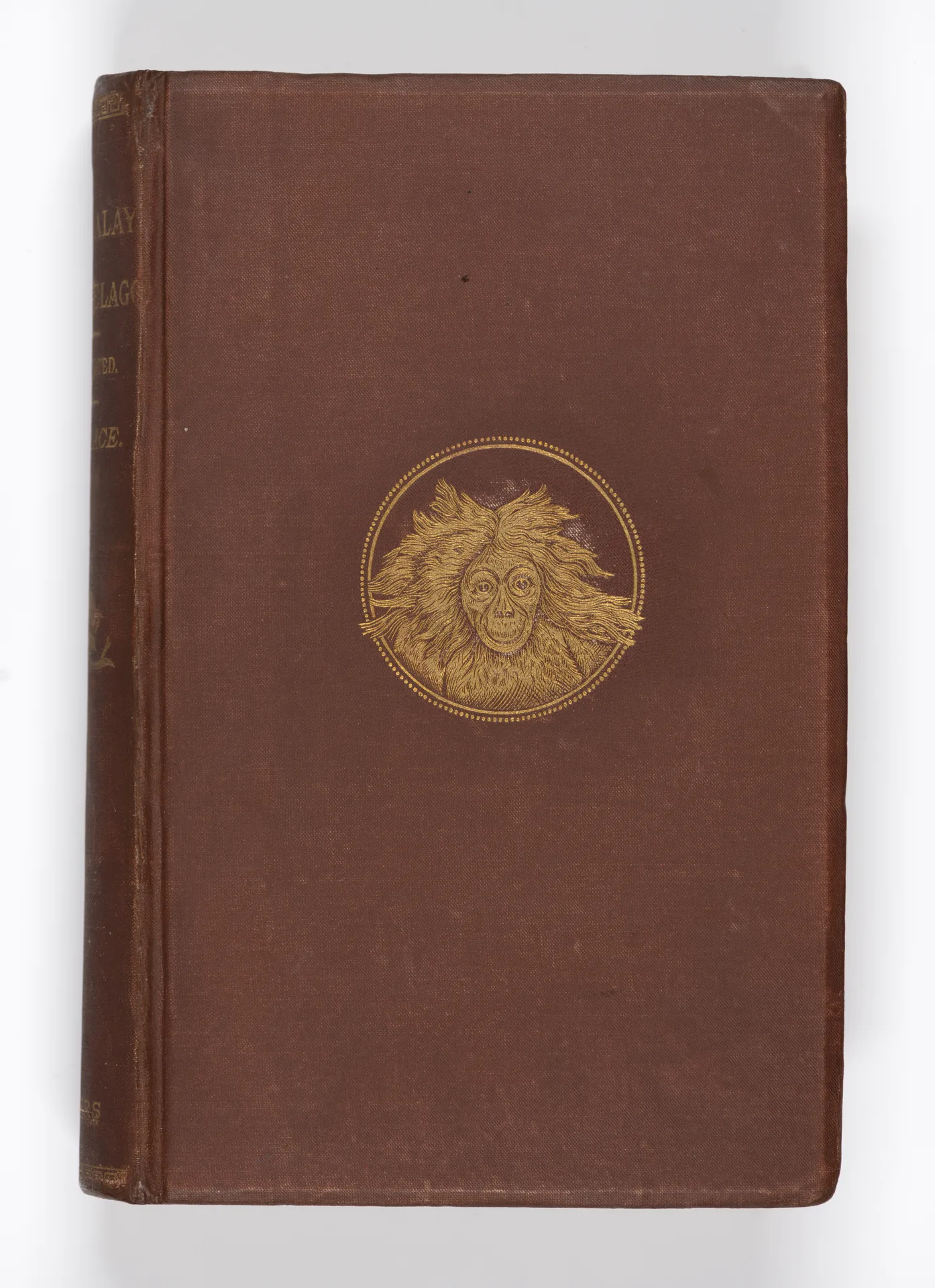 The Malay Archipelago 1885 Reprint